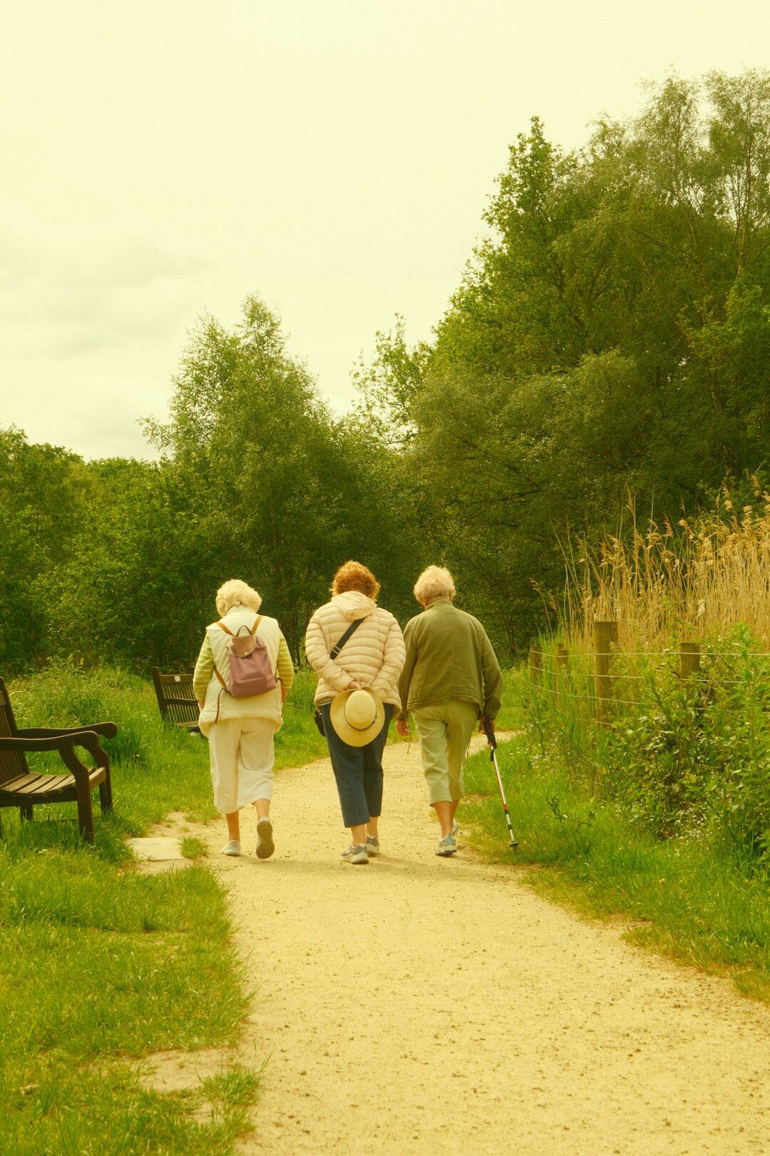 seniors in nature