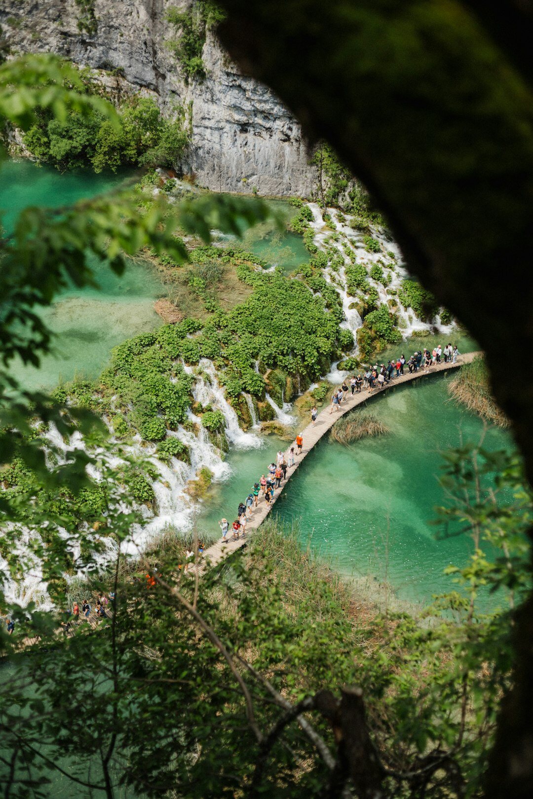 Seniors walking through a green national park in Croatia